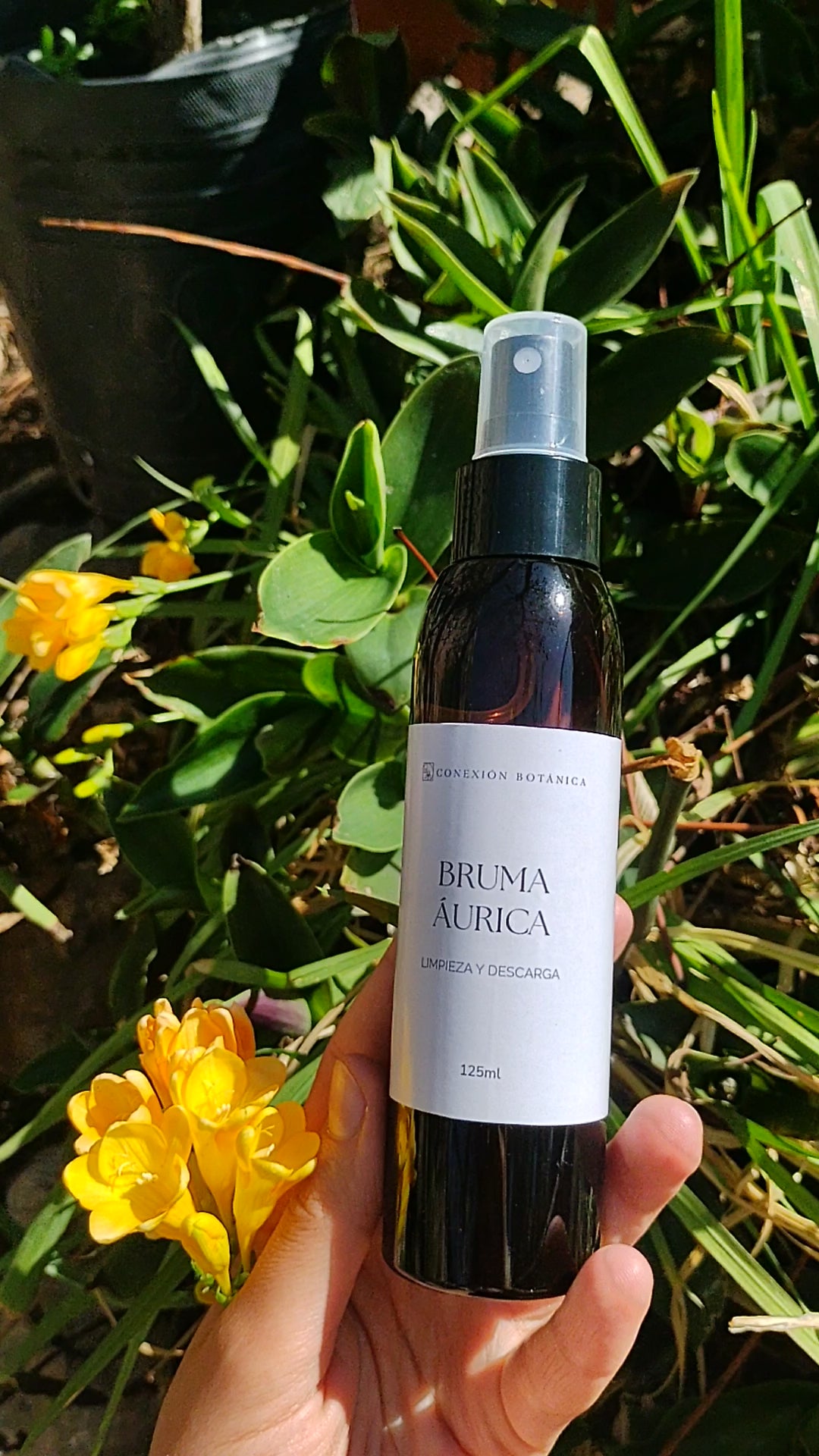Bruma Áurica · Limpieza y Descarga Energética
